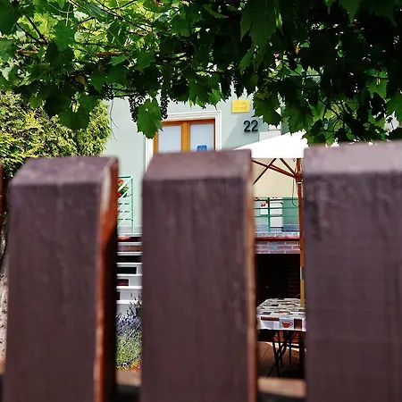 Zielony Domek Hostel *